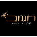 לוגו דסי לוין- מגנוב