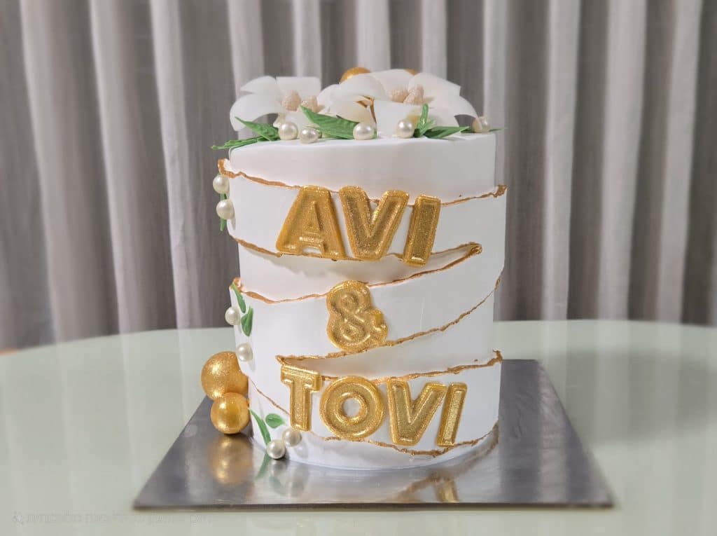 דסי לוין- מגנוב